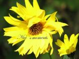 comp_IMG_0209.jpg