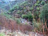 comp_P1010765.jpg