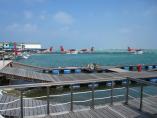comp_IMG_0048.jpg