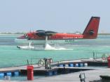 comp_IMG_0050.jpg