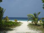 comp_IMG_0094.jpg