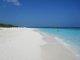 comp_IMG_0187.jpg
