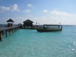 comp_IMG_0237.jpg