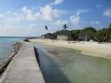 comp_IMG_0250.jpg