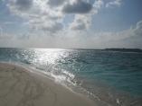 comp_IMG_0256.jpg