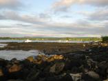 comp_IMG_0056.jpg