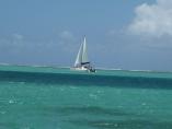 comp_IMG_0119.jpg
