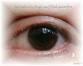 comp_Auge.jpg