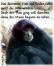 comp_Kopie_vonP1020170.jpg