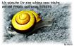 comp_Wochenstartschnecke.jpg