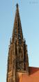comp_P1100715.jpg